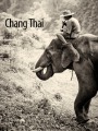 Elephants of Chiang Dao - Northern Thailand